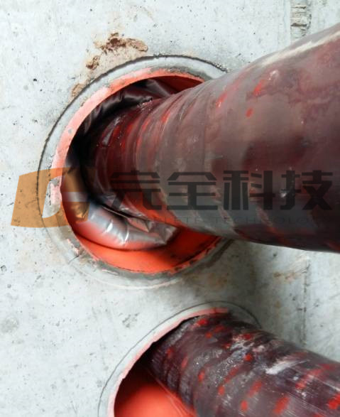 ��������|���D�ڹܿ���ɵĔD��