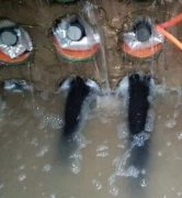 ����ܵ��ܷ��