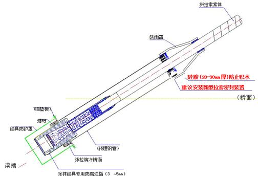 斜拉橋梁下錨頭及導管病害檢測及改良