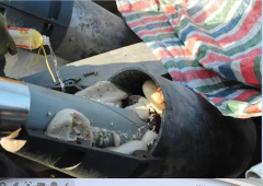 鋁合金氣囊橋梁導管防水密封裝置哪家服務好